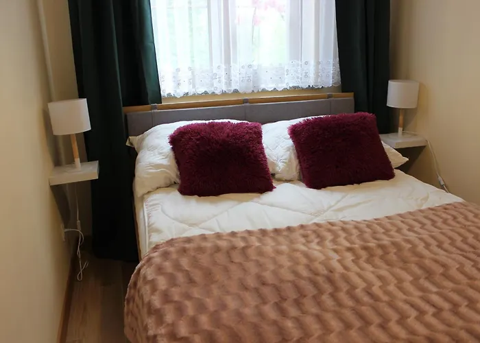Apartament Blisko Centrum Z Garazem